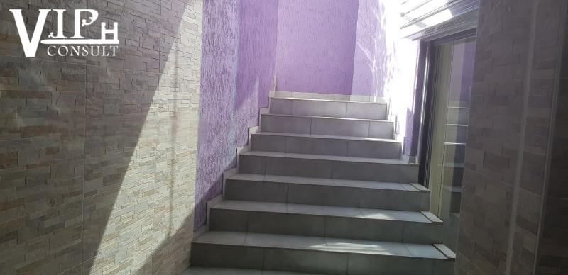 Image 13