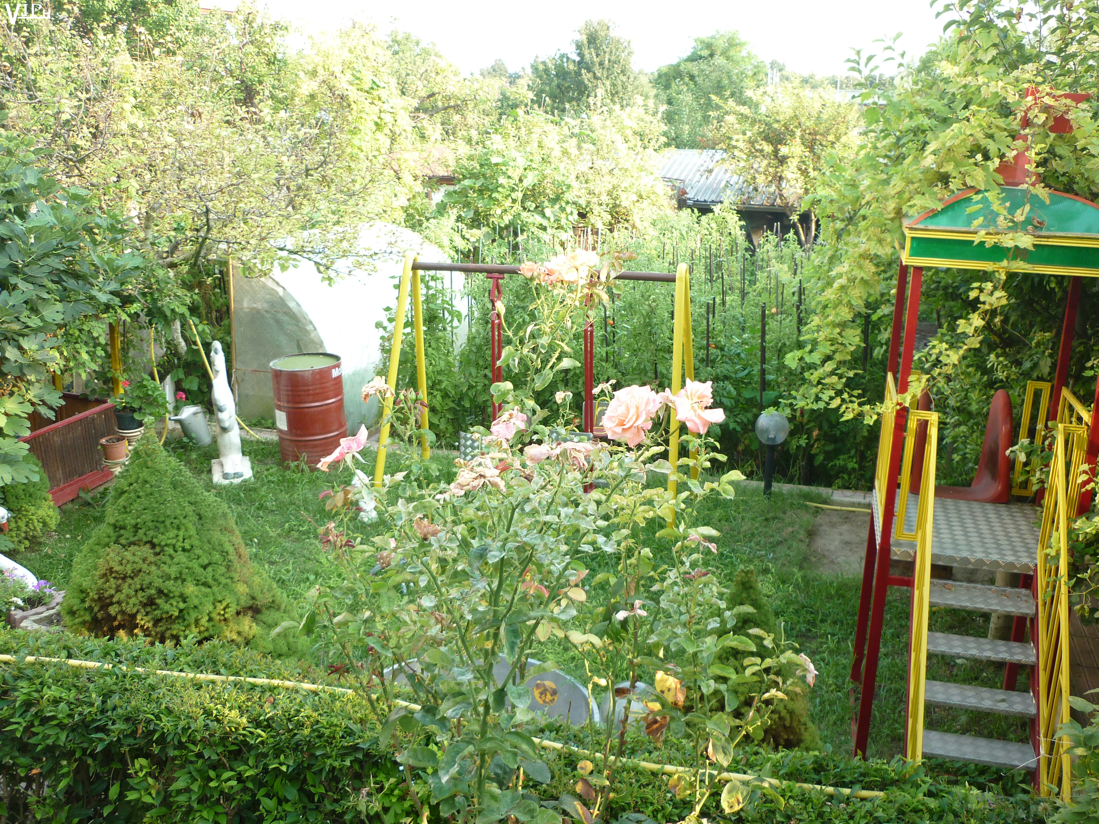 Image 13